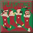 fleshtones