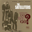 satelliters