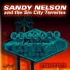 Sandy Nelson