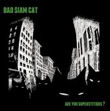  Bad Siam Cat 