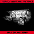  Teenage Jesus and the Jerks 