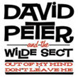  Peter David and the Wilde Sect 